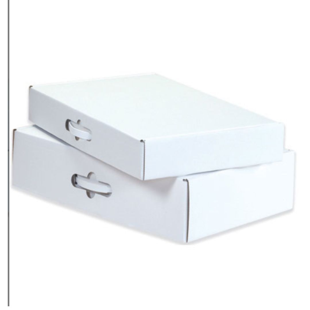 Untitled design (22)