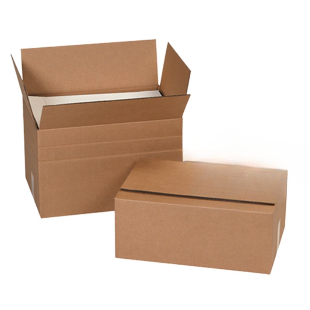 WhatsApp Image 2026-04-06 at 8.01.04 PM